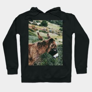 Wild Donkeys Duo Hoodie